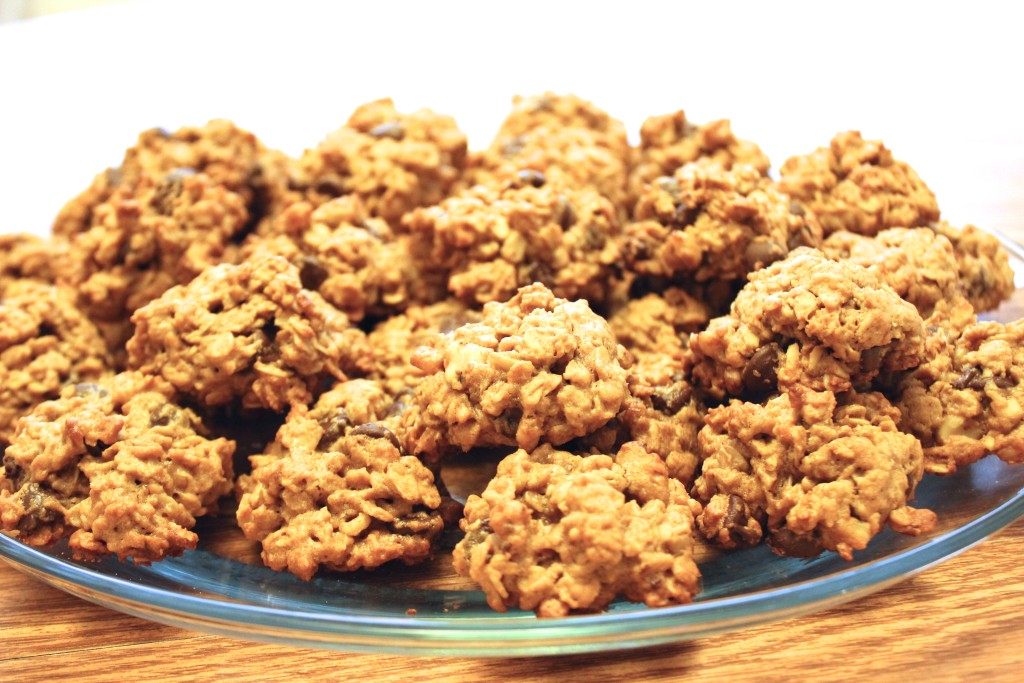 Gluten Free Oat Cookies from embracingthegrey.com