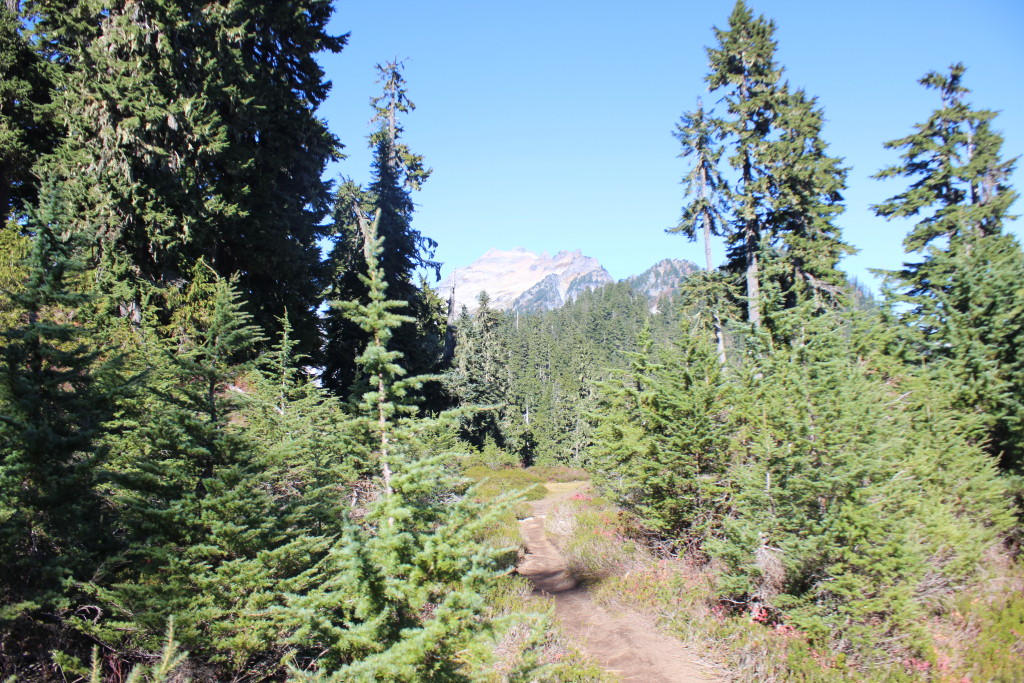 Blanca Lake Trail