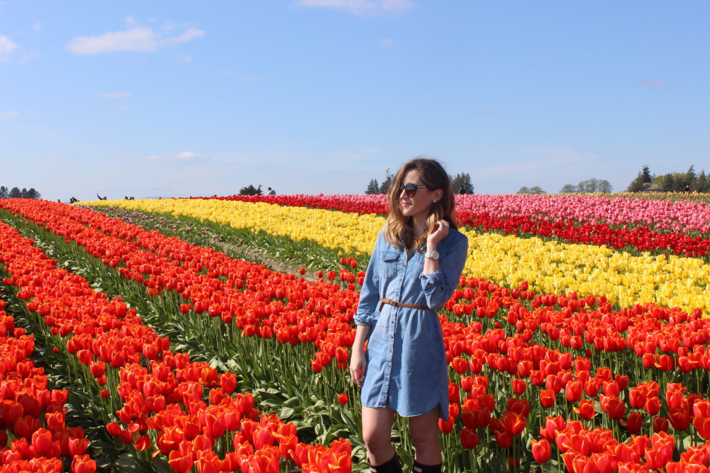 Tulip Festival