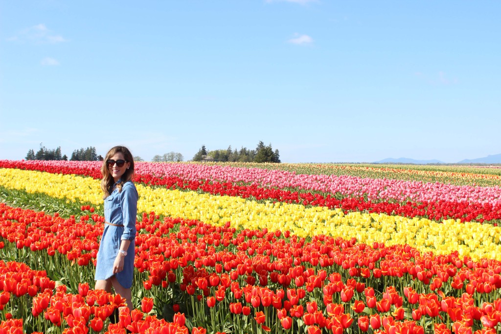 Tulip Festival