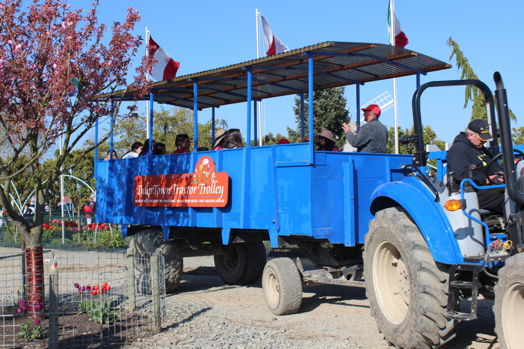 Tractor Ride