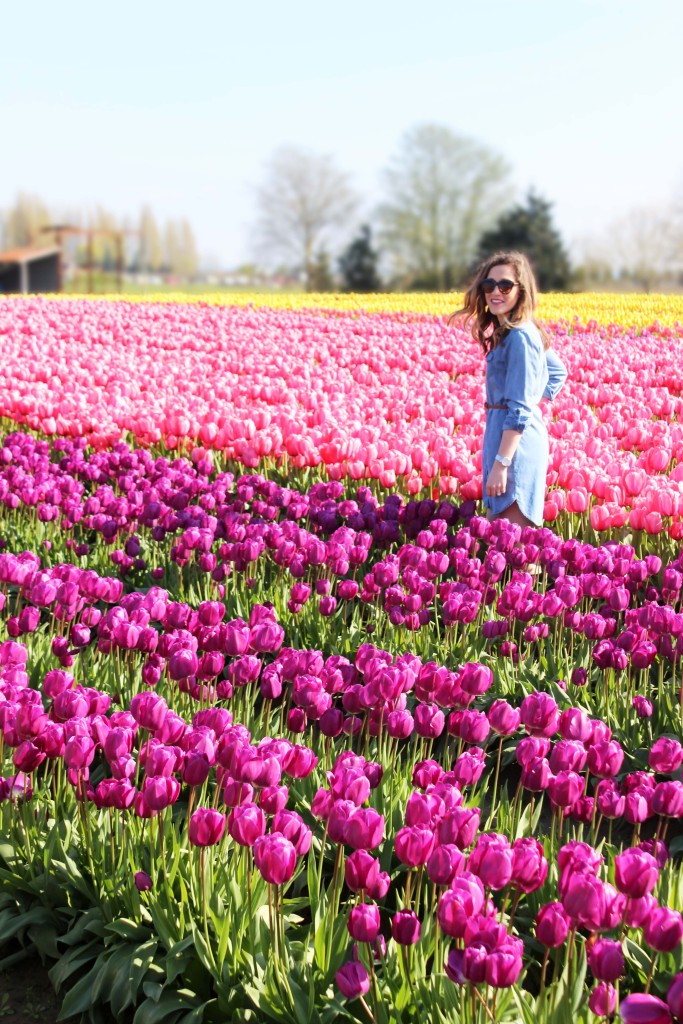 Tulip Festival