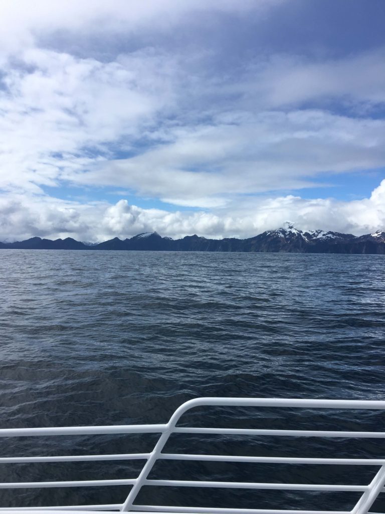 Kenai Fjords Tour