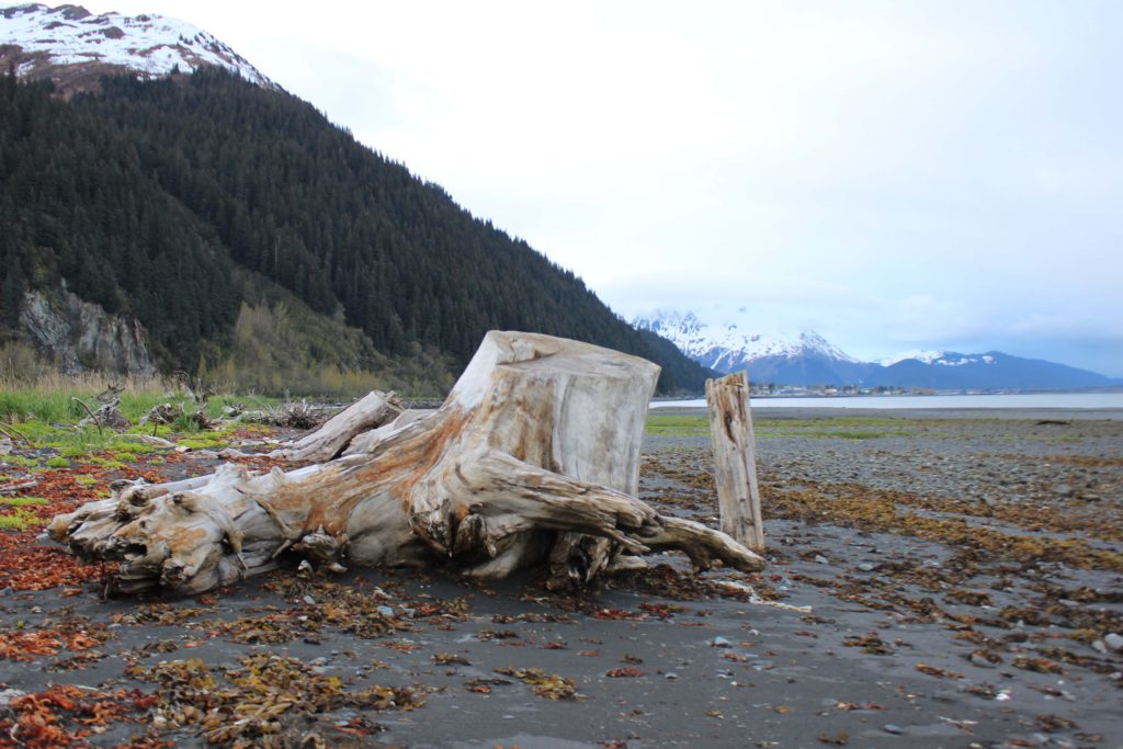 Resurrection Bay