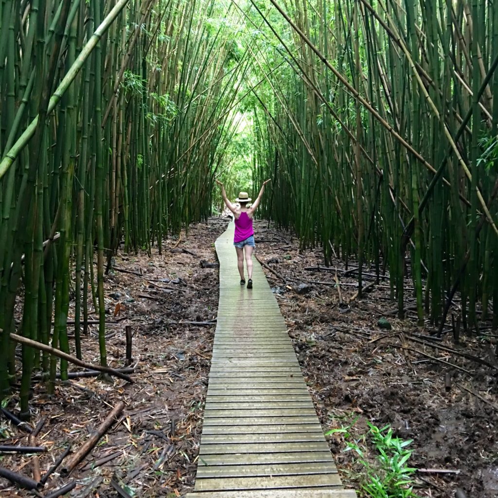 Bamboo Forest