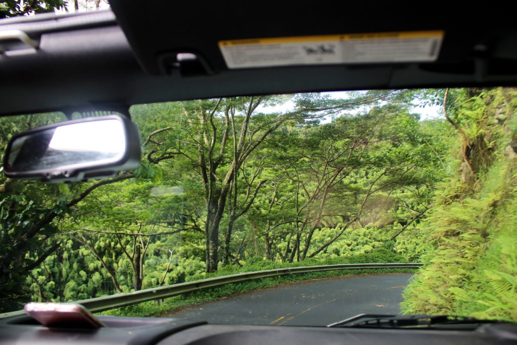 Road to Hana