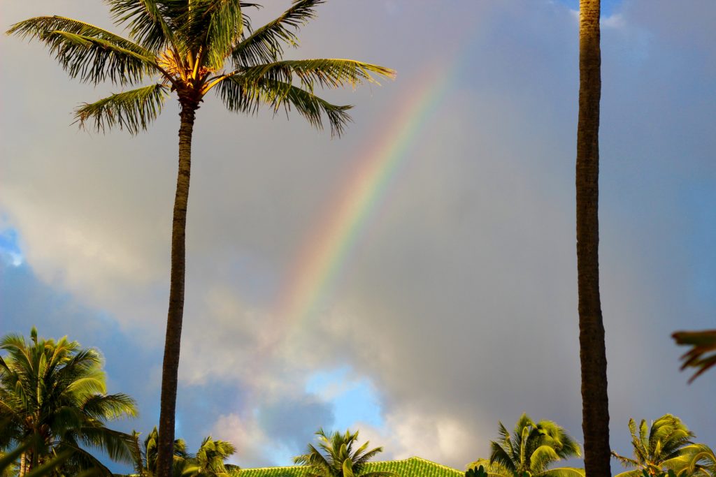 Kauai Rainbow