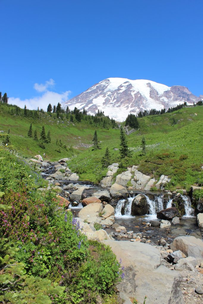 Mt. Rainier